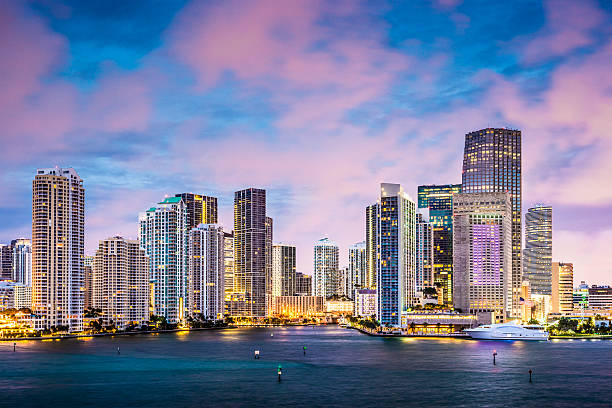 The Florida Africa Chamber of Commerce is a strategic business platform dedicated to strengthening trade, investment, innovation, and institutional cooperation between the State of Florida and African markets.