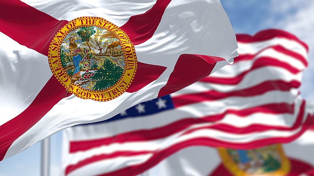 The Florida Africa Chamber of Commerce is a strategic business platform dedicated to strengthening trade, investment, innovation, and institutional cooperation between the State of Florida and African markets.